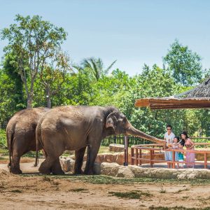 Da Nang To Vinpearl Land On Private Car - Hue Private Taxi