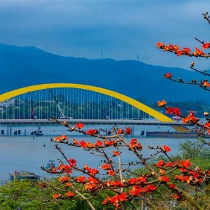 Phong Nha To Hue By Private Taxi - Hue Private Taxi