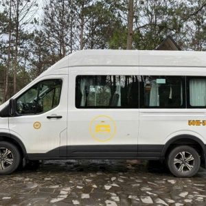 Da Nang Airport Transfer By Limousine - Hue Private Taxi