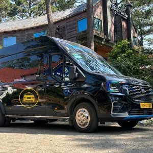 Da Nang Airport Transfer By Limousine - Hue Private Taxi