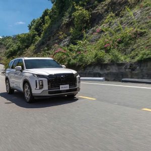 Dong Hoi To Hoi An Private Taxi Transfer - Hue Private Taxi