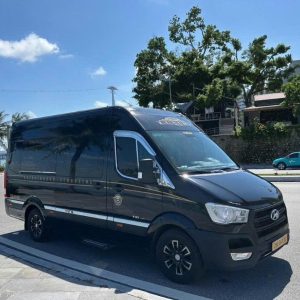 Hoi An To Da Nang Airport Limousine - Hue Private Taxi