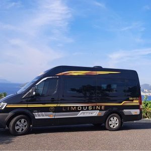Hoi An to Quy Nhon Limousine - Hue Private Taxi