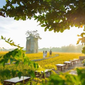 Phong Nha to Dong Hoi limousine - Hue Private Taxi