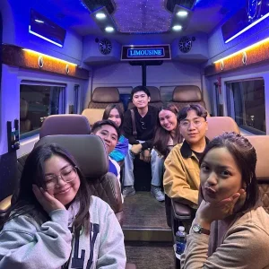 Phong Nha To Ninh Binh By Limousine Transfer - Hue Private Taxi