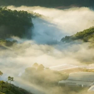 Da Nang To Dalat By Limousine - Hue Private Taxi