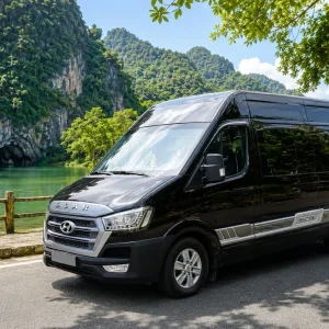 Da Nang To Phong Nha By Limousine - Hue Private Taxi