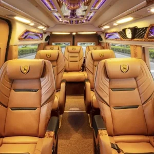 Da Nang To Phong Nha By Limousine Transfer - Hue Private Taxi