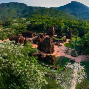 Da Nang To My Son Sanctuary Private Taxi - Hue Private Taxi