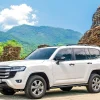 Da Nang To My Son Sanctuary Private Car - Hue Private Taxi