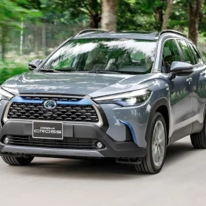 Da Nang To Dalat By Private Car - Hue Private Taxi