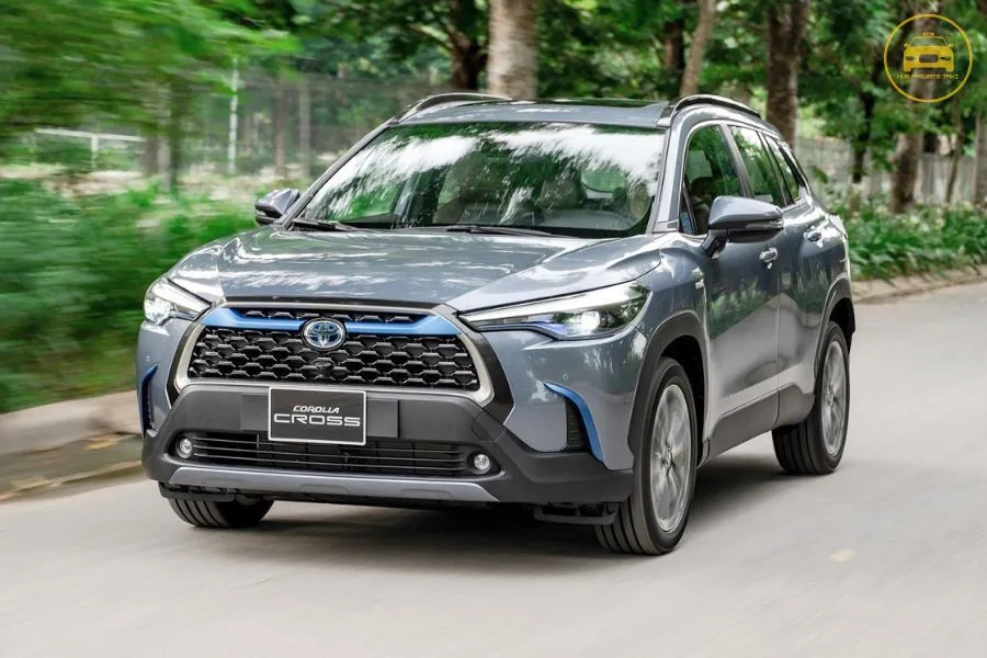 Da Nang To Dalat By Private Car - Hue Private Taxi